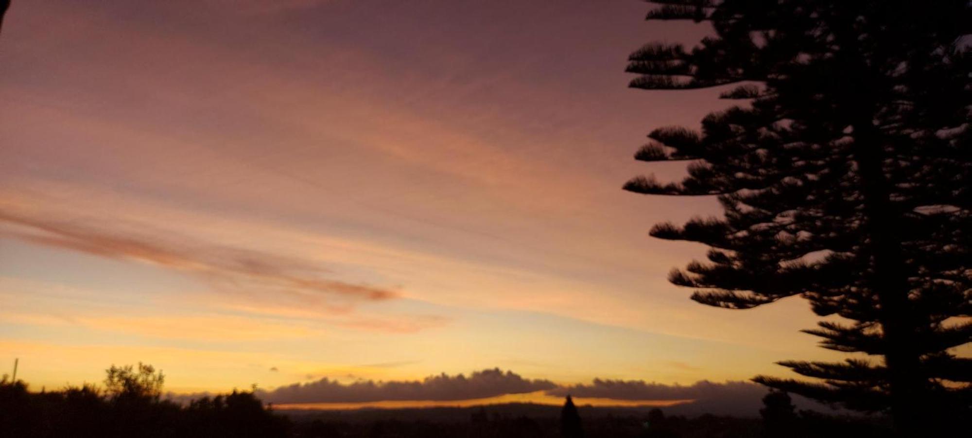 Haley'S Cabin Villa Tauranga Dış mekan fotoğraf