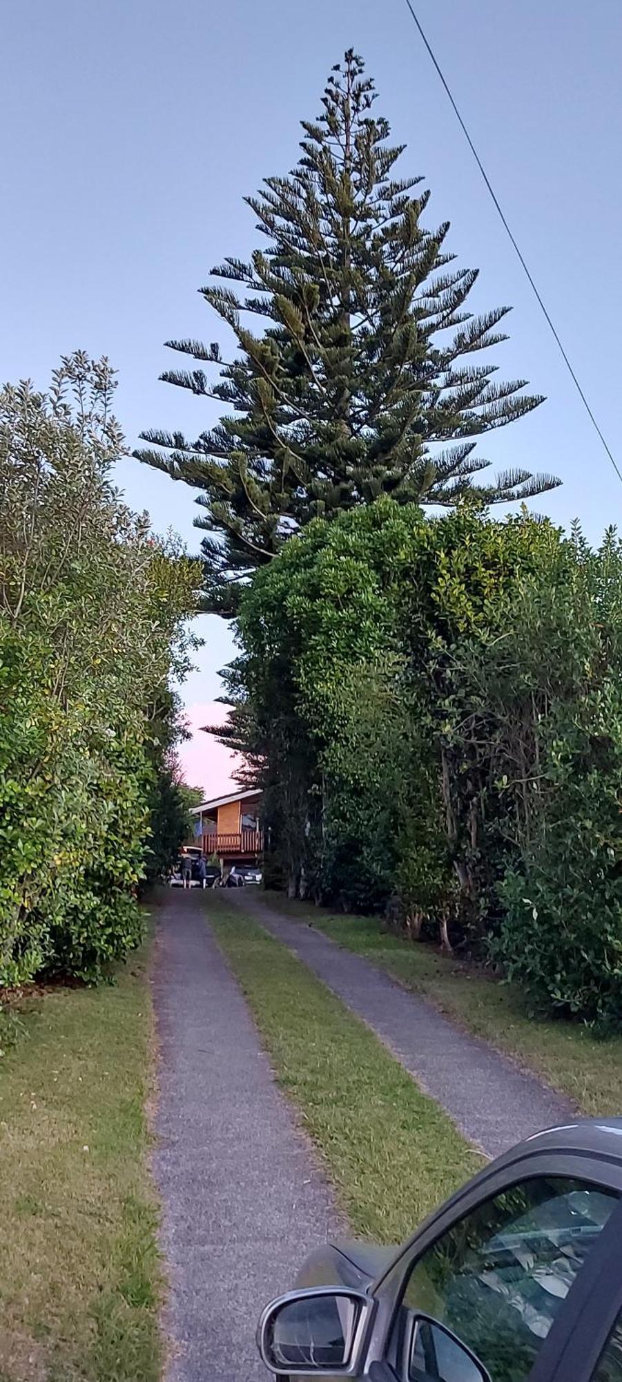 Haley'S Cabin Villa Tauranga Dış mekan fotoğraf