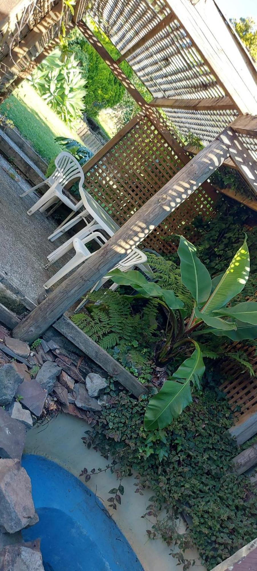 Haley'S Cabin Tauranga Dış mekan fotoğraf