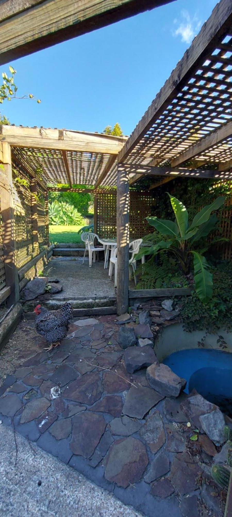 Haley'S Cabin Tauranga Dış mekan fotoğraf
