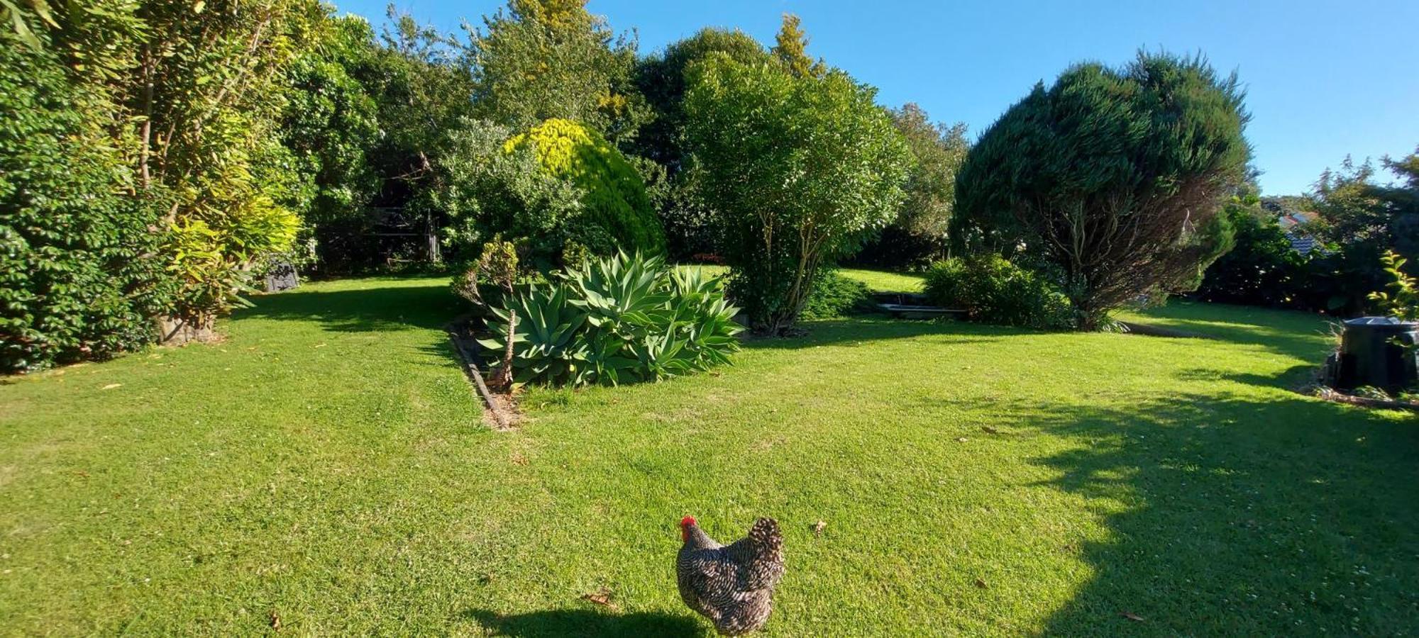 Haley'S Cabin Tauranga Dış mekan fotoğraf