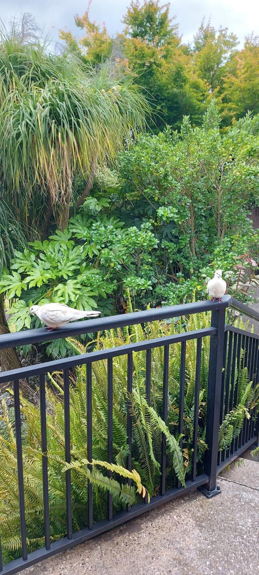 Haley'S Cabin Tauranga Dış mekan fotoğraf