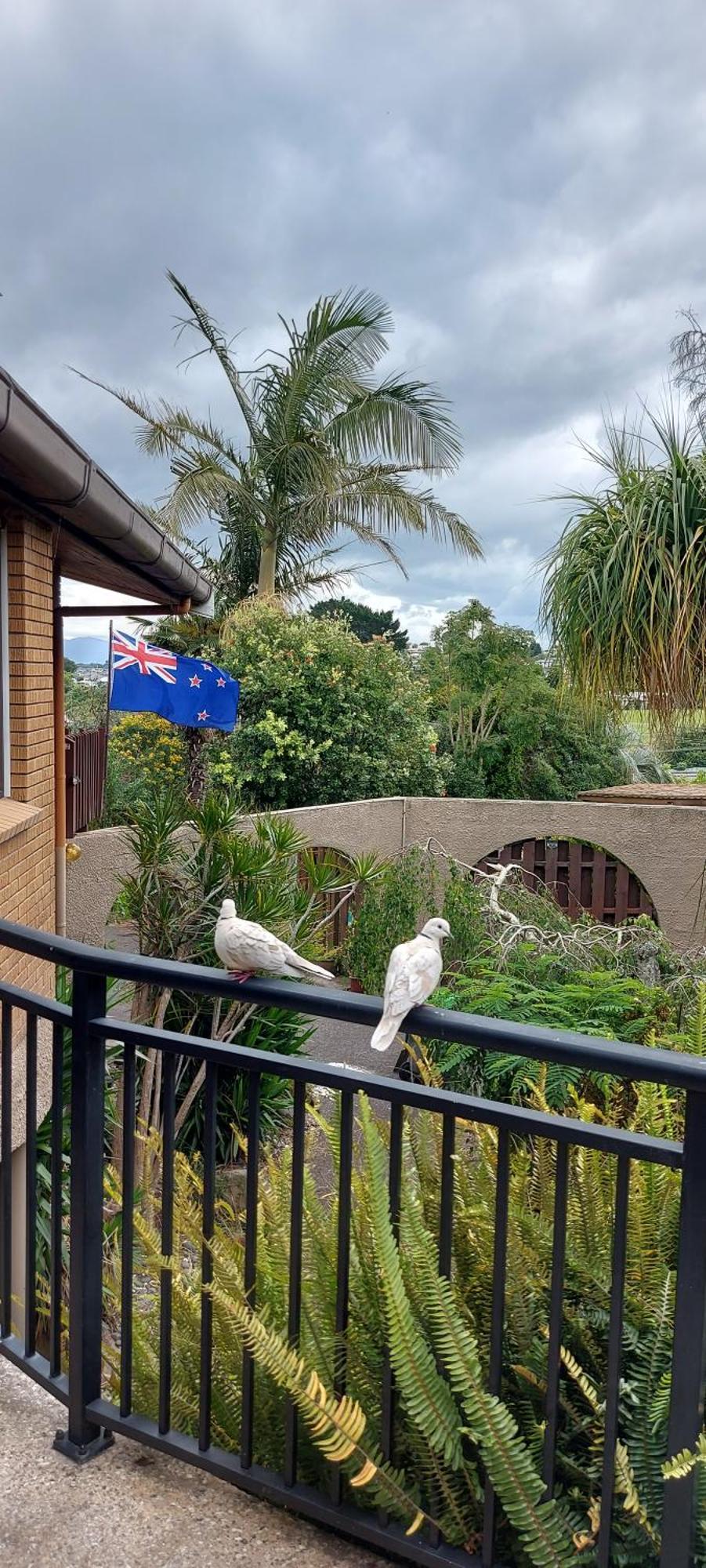 Haley'S Cabin Villa Tauranga Dış mekan fotoğraf